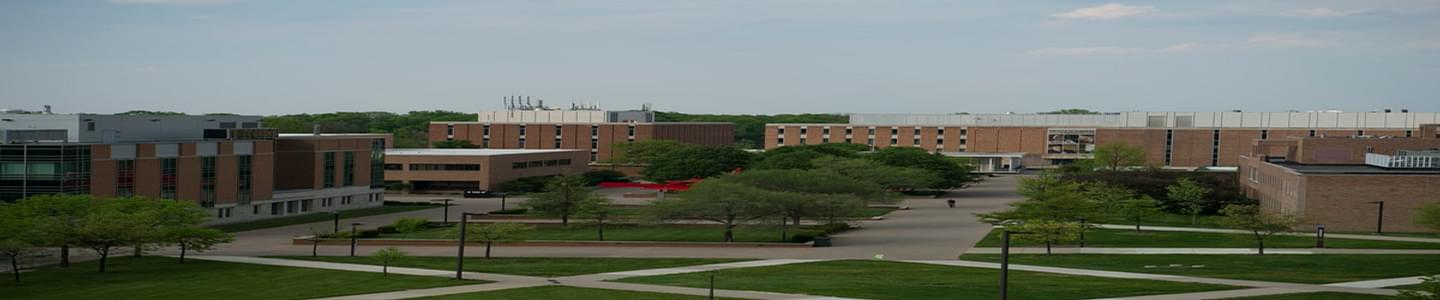 Wright State University banner